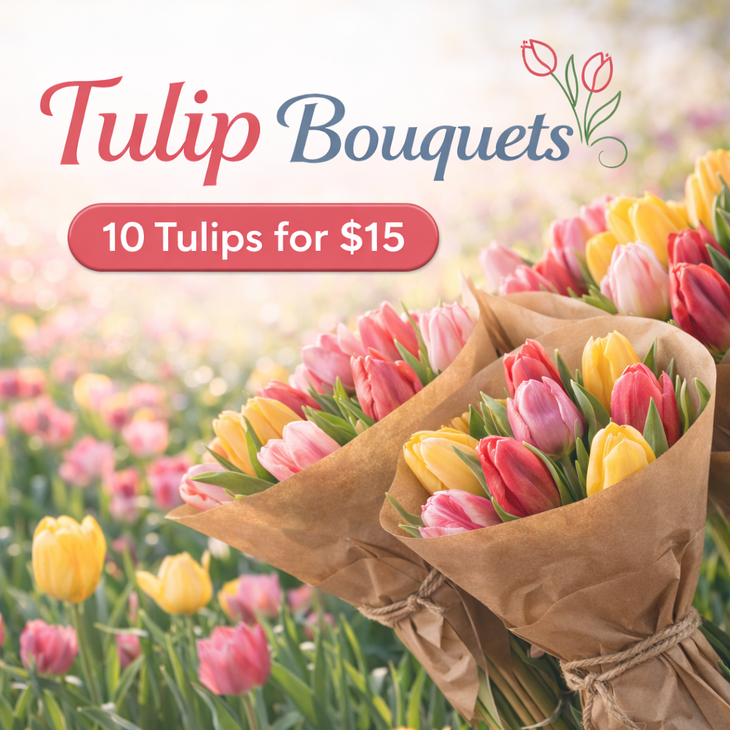 Tulip Bouquets at Utah Tulip Festival: 10 tulips for $15