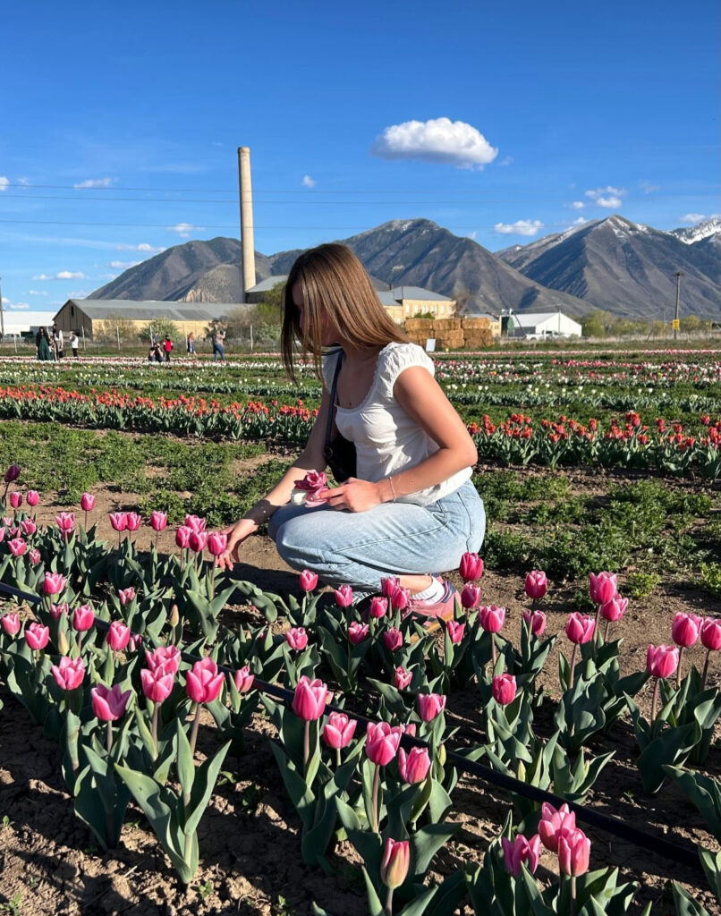 Utah Tulip Festival Spanish Fork